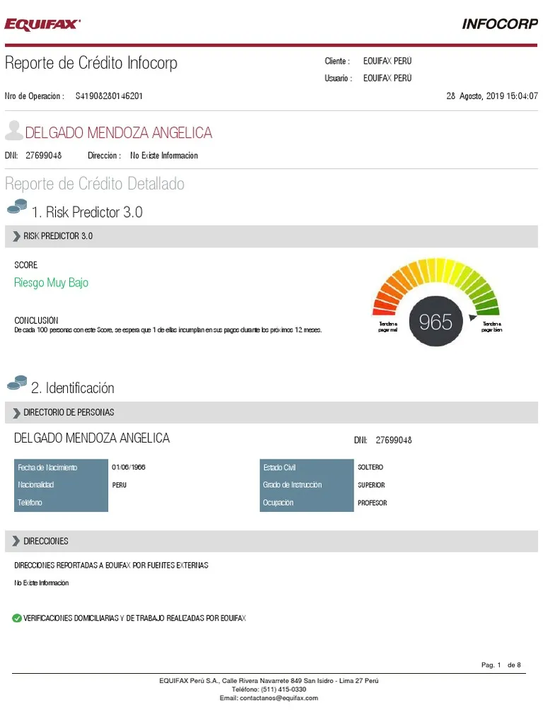 Reporte INFOCORP